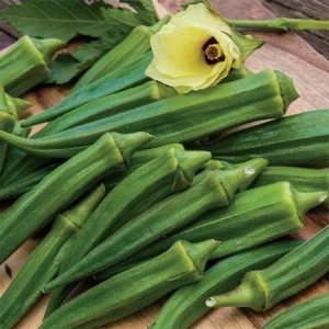OKRA SEED EMERALD