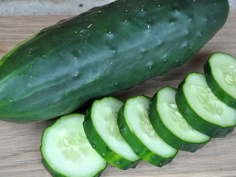 Poinsett-76-Cucumber CUCUMBER SEEDS (Poinsett)