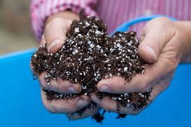 POTTING MIX SUN GRO  7LB GERMINATION SOIL