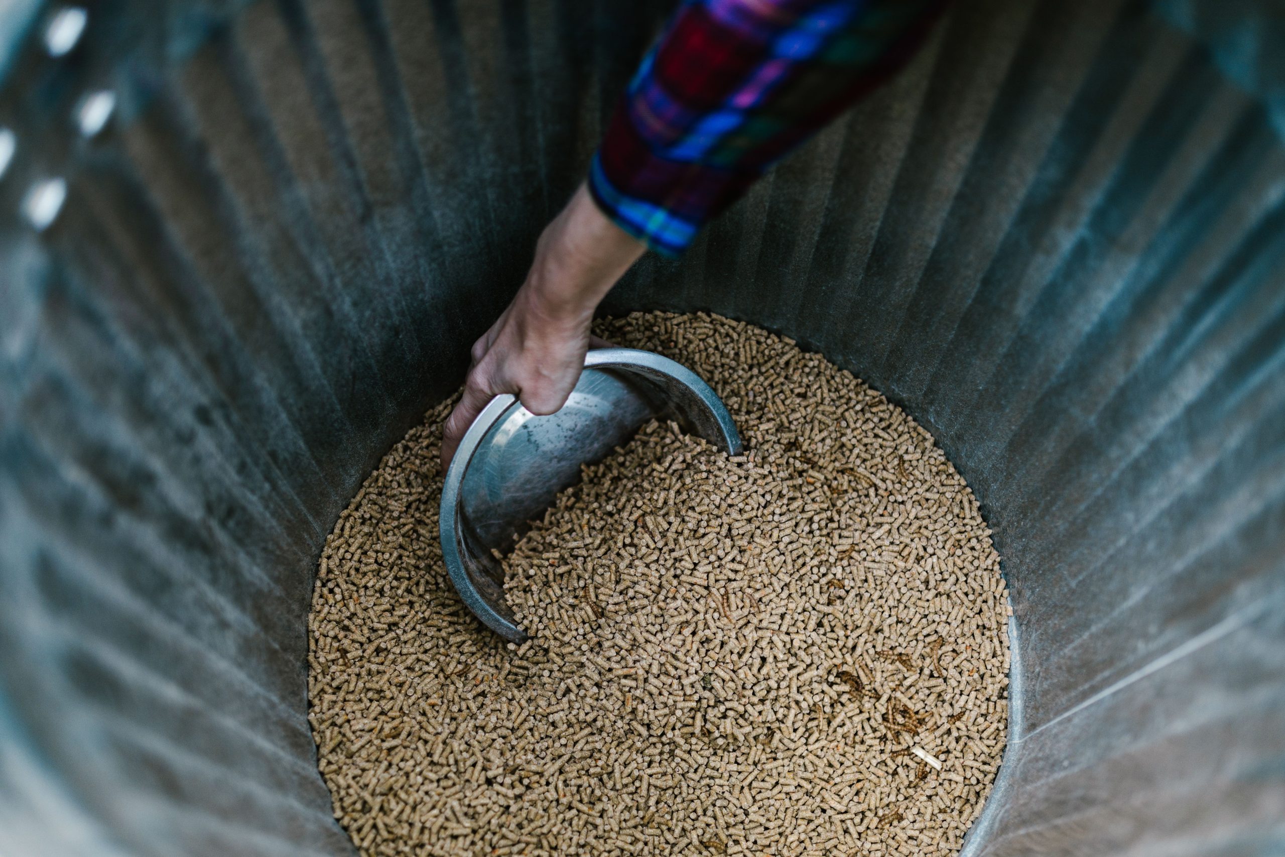 pexels photo 7782871 7782871 Close-up of a hand using a bowl to scoop animal feed from a metal bin.