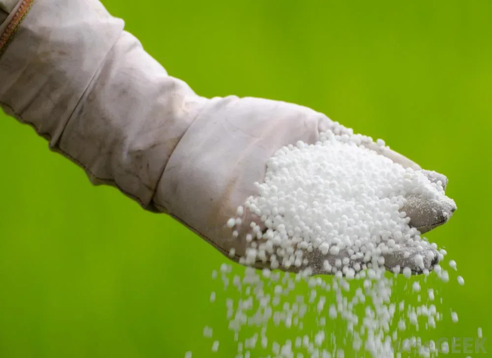 urea jpg webp urea jpg webp