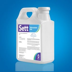 sett 1